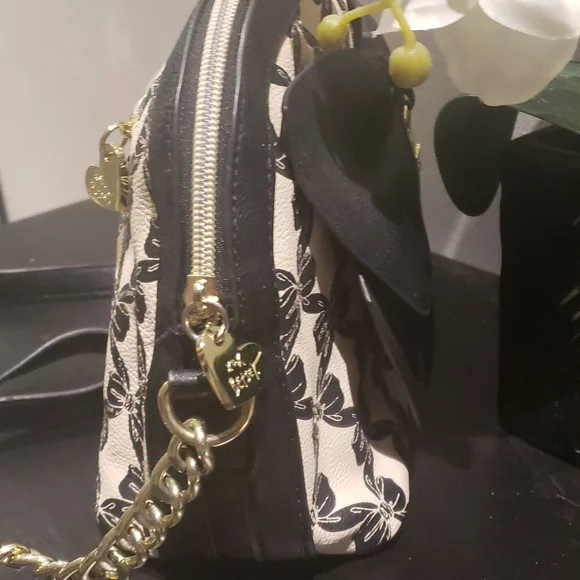 ❣️💫MARK DOWN💫❣️ Betsey Johnson Crossbody Bag - Picture 4 of 10